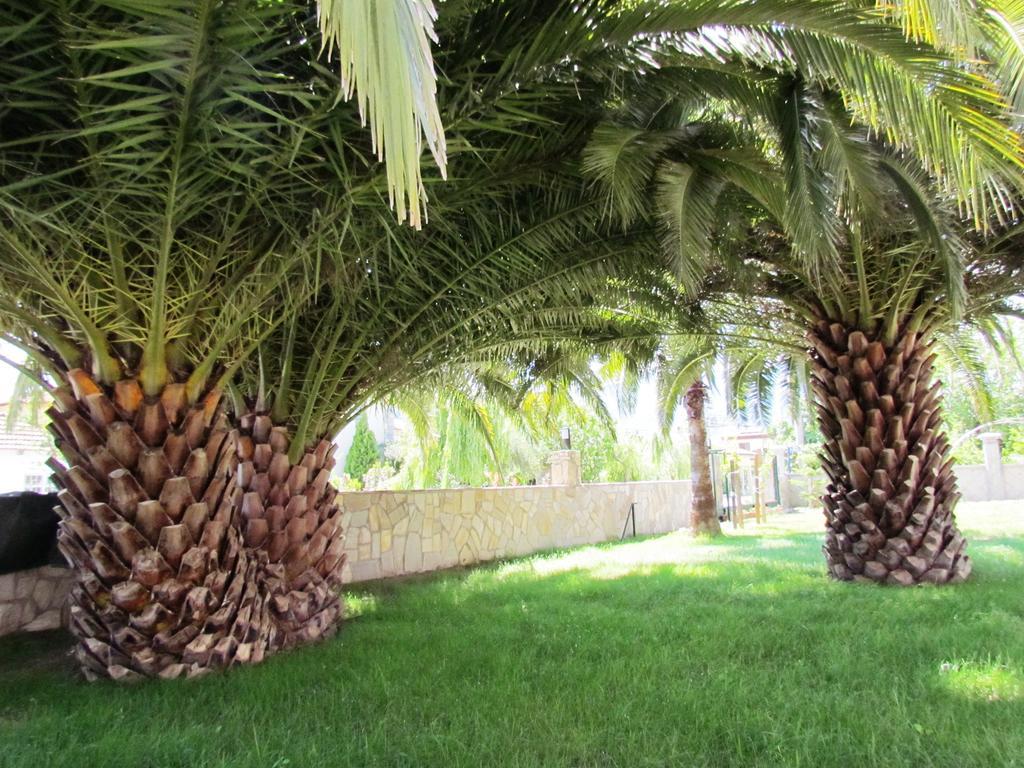 Dalyan Palmiye Resort Hotel Exteriör bild