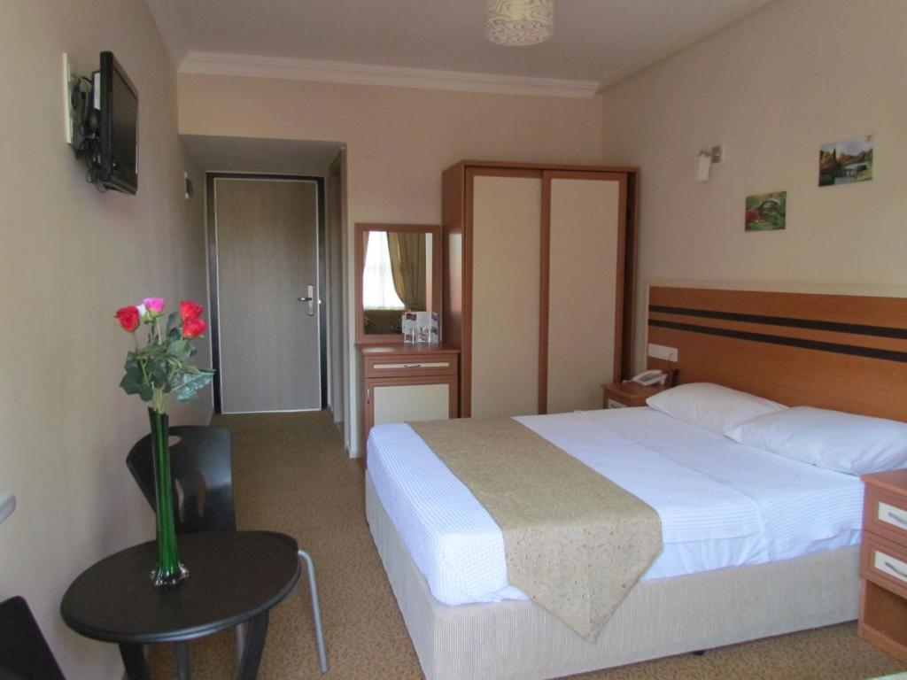 Dalyan Palmiye Resort Hotel Rum bild
