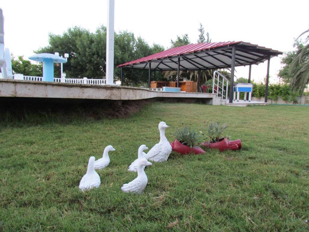Dalyan Palmiye Resort Hotel Exteriör bild