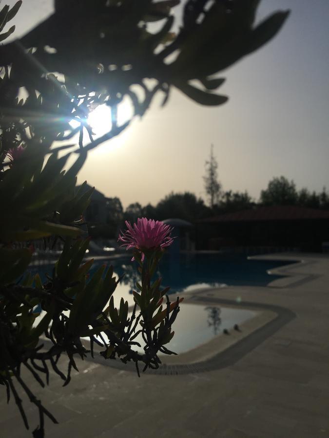 Dalyan Palmiye Resort Hotel Exteriör bild